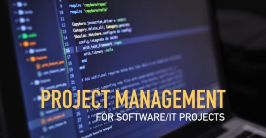 software project management