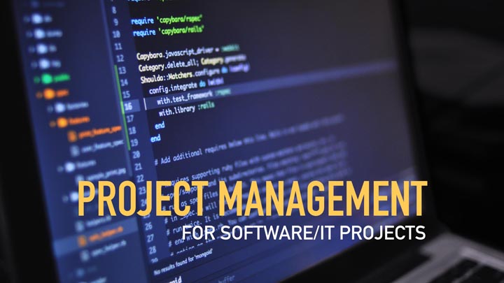 software project