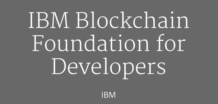 blockchain developers
